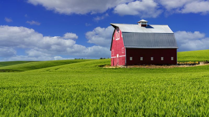 Barn Installation in Conroe, TX