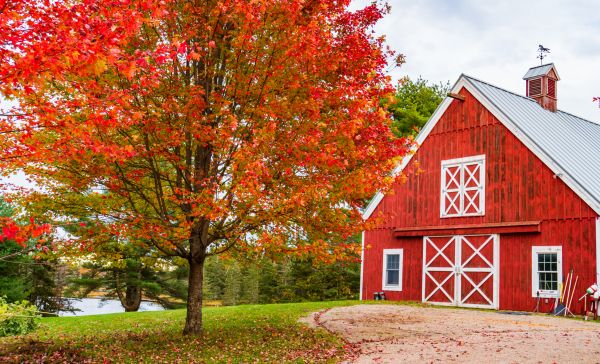 Barn Assembly